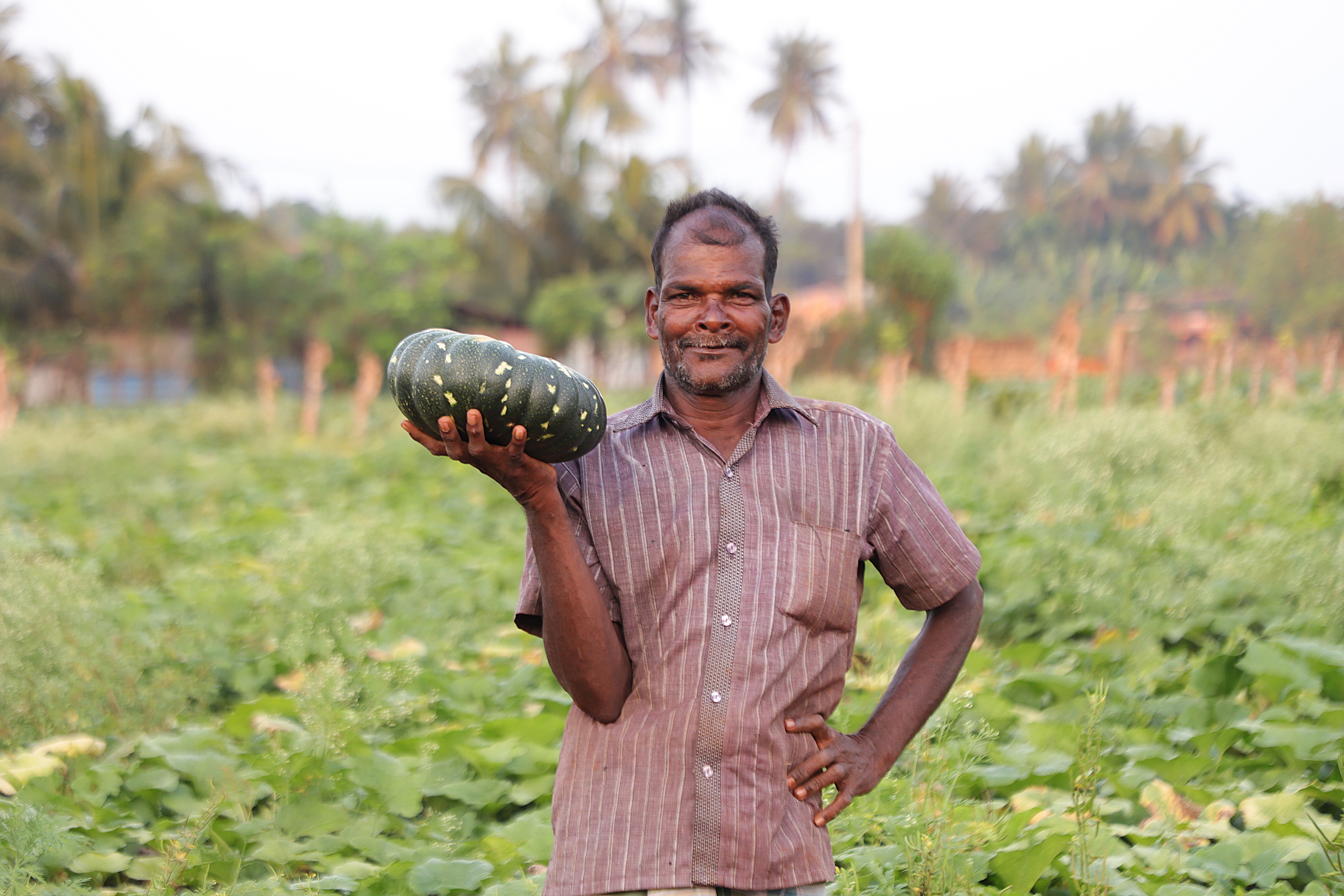 Sri Lankan Farmer
